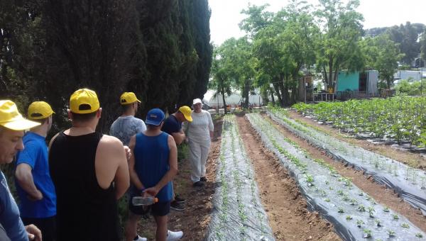 Diventare giardinieri e agricoltori all'Isola Solidale